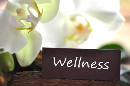 Wellness Holistic image